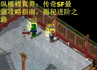 纵横修真界：传奇SF最强攻略指南，揭秘进阶之路
