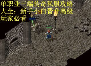 单职业三端传奇私服攻略大全：新手小白晋升高级玩家必看