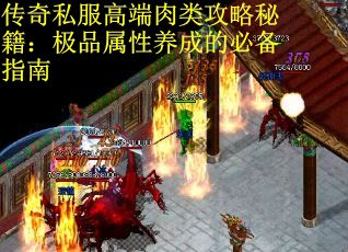 传奇私服高端肉类攻略秘籍：极品属性养成的必备指南