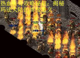 热血传奇攻略秘籍：揭秘玛法大陆的终极奥义