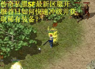 传奇私服SF最新区服开服首日如何快速冲级并获取稀有装备？