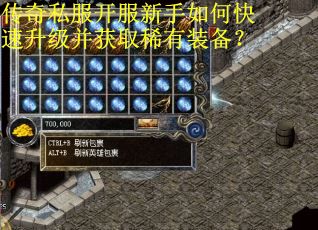 传奇私服开服新手如何快速升级并获取稀有装备？