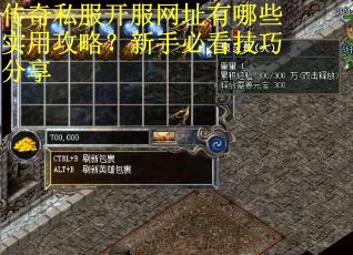 传奇私服开服网址有哪些实用攻略？新手必看技巧分享