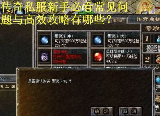 传奇私服新手必看常见问题与高效攻略有哪些？