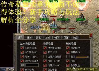 传奇私服续章究竟值不值得体验？新手攻略与玩法解析全分享