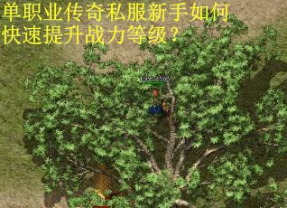 单职业传奇私服新手如何快速提升战力等级？