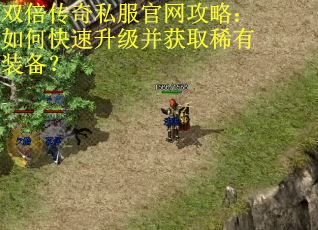 双倍传奇私服官网攻略：如何快速升级并获取稀有装备？