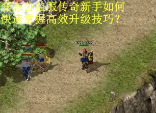 变态公益服传奇新手如何快速掌握高效升级技巧？