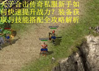 天子合击传奇私服新手如何快速提升战力？装备获取与技能搭配全攻略解析