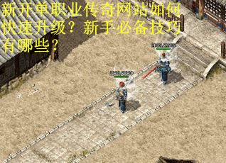 新开单职业传奇网站如何快速升级？新手必备技巧有哪些？