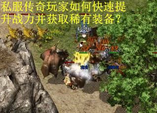 私服传奇玩家如何快速提升战力并获取稀有装备？