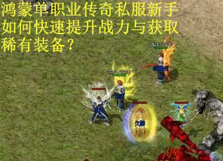 鸿蒙单职业传奇私服新手如何快速提升战力与获取稀有装备? 鸿蒙单职业传奇私服新手如何快速提升战力与获取稀有装备?