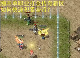 刚开单职业打金传奇新区如何快速积累金币? 刚开单职业打金传奇新区如何快速积累金币?