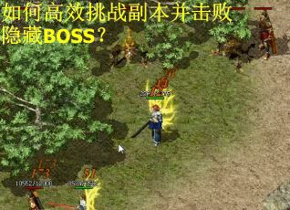 如何高效挑战副本并击败隐藏BOSS？