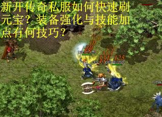 新开传奇私服如何快速刷元宝？装备强化与技能加点有何技巧？