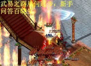 武易之路从何起步：新手问答百晓生
