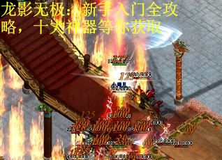 龙影无极：新手入门全攻略，十大神器等你获取