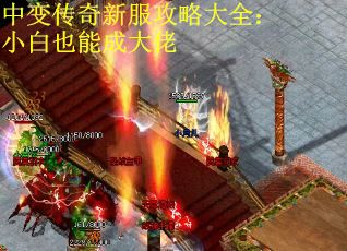 中变传奇新服攻略大全：小白也能成大佬