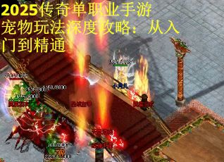 2025传奇单职业手游宠物玩法深度攻略：从入门到精通