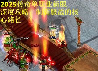2025传奇单职业新服深度攻略：制霸服战的核心路径
