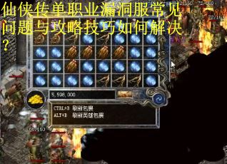 仙侠传单职业漏洞服常见问题与攻略技巧如何解决？