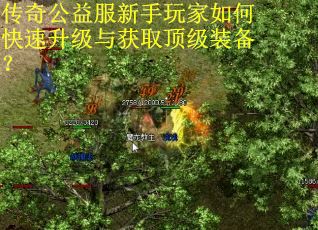 传奇公益服新手玩家如何快速升级与获取顶级装备？
