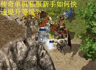 传奇单机私服新手如何快速提升等级？