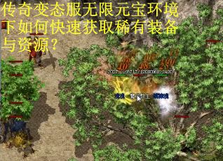 传奇变态服无限元宝环境下如何快速获取稀有装备与资源？