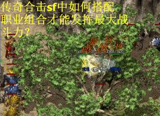 传奇合击sf中如何搭配职业组合才能发挥最大战斗力？