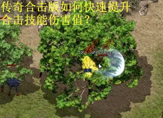 传奇合击版如何快速提升合击技能伤害值？
