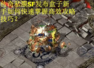 传奇私服SF发布盒子新手如何快速掌握高效攻略技巧？