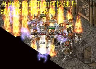 冉冉传奇新手如何快速升级与获取稀有装备? 冉冉传奇新手如何快速升级与获取稀有装备?