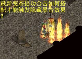 最新变态倍功合击如何搭配才能触发隐藏暴击效果？