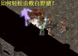 如何轻松击败白野猪？