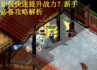 如何快速提升战力？新手必备攻略解析