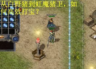 从白野猪到虹魔猪卫，如何高效打宝？