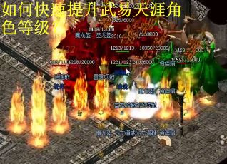 如何快速提升武易天涯角色等级？