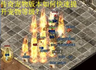 传奇宠物版本如何快速提升宠物等级？