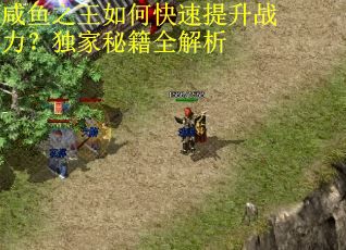 咸鱼之王如何快速提升战力？独家秘籍全解析