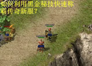 如何利用黑金秘技快速称霸传奇新服？