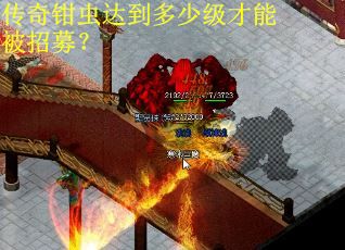 传奇钳虫达到多少级才能被招募? 传奇钳虫达到多少级才能被招募?