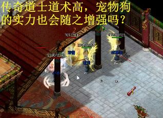 传奇道士道术高,宠物狗的实力也会随之增强吗? 传奇道士道术高,宠物狗的实力也会随之增强吗?
