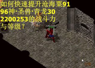 如何快速提升沧海粟9196神·圣兽·青龙302200253的战斗力与等级？