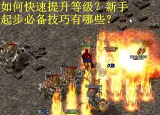 如何快速提升等级？新手起步必备技巧有哪些？