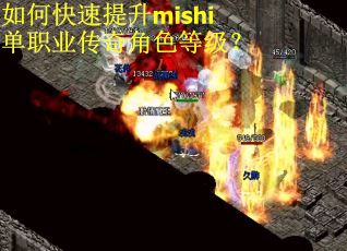 如何快速提升mishi单职业传奇角色等级？